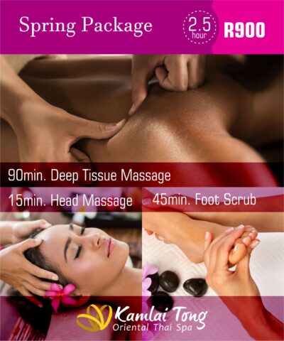 Spring Package | 2.5hr